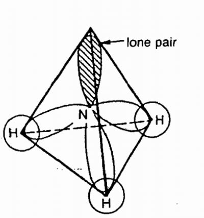 Draw the Lewis dot structure for NH_3 and a second structure showing the bonds and the VSEPR ...