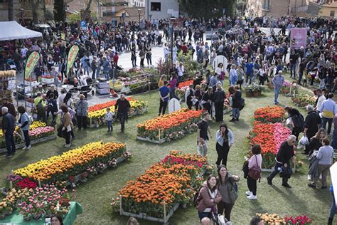 La Festa Del Tulipano Colora Di Primavera Castiglione Del Lago Lavoce