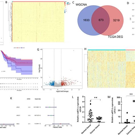 Differential Expression Of Genes Analyzed On GSE63514 Data Set A