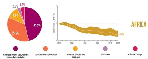 The Statistics Of Biodiversity Loss 2020 WWF Report Earth Org