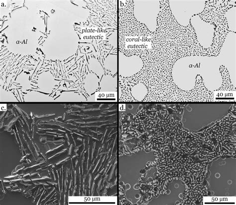 Comparison Between Unmodified And Modified Microstructure In An Al