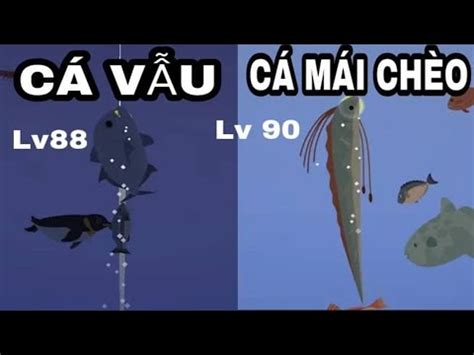 Fishing Life #13: Triệu Tập CÁ VẪU CÁ MÁI CHÈO Map Biển Tự Do - YouTube