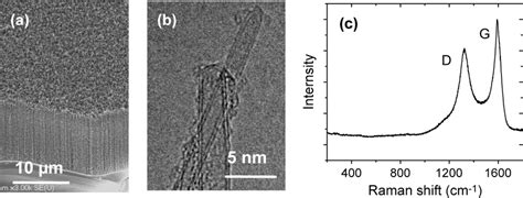 Growth Of Vertically Aligned Dwcnts A Scanning Electron Micrograph