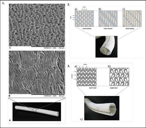 A Image Of EPTFE AVG B Scanning Electron Microscopy Image Of The