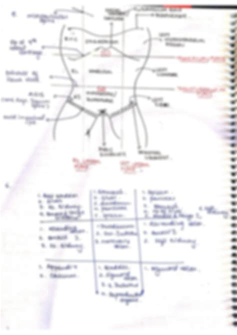 SOLUTION: Nine regions of abdomen - Studypool