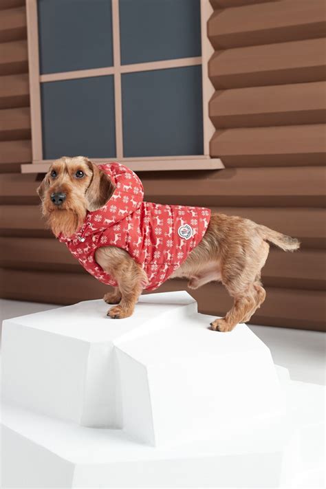 Moncler Genius Offers Luxe Winter Coats Dog Vests And Streetwear