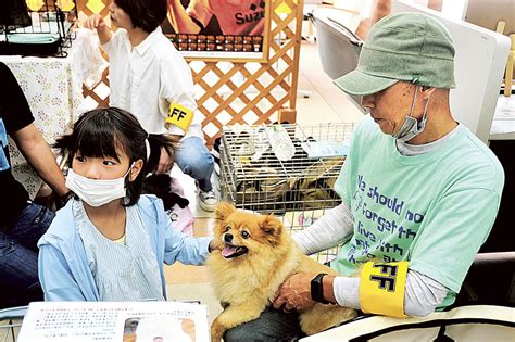 保護犬猫と飼い主 「幸せな出会いを」 静岡市で譲渡会｜あなたの静岡新聞 Cheriee News