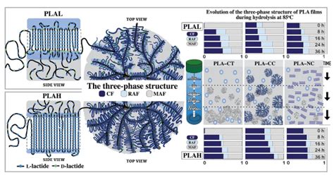 Effects Of The Three Phase Crystallization Behavior On The Hydrolysis