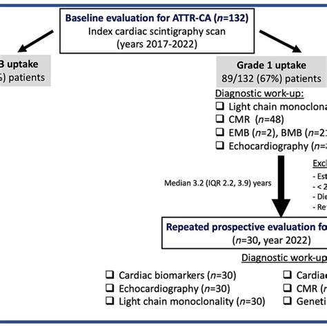 Representative Examples Of Perugini Grading Scale For Cardiac Uptake By Download Scientific