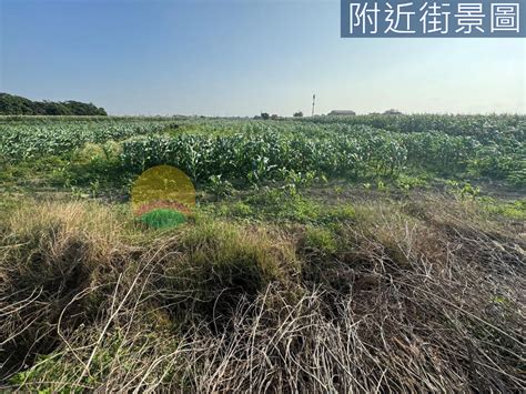 七股大埕段499坪值得投資方正農地 台南市七股區大埕段房屋出售 Ye0010773 永義房屋 新時代房仲