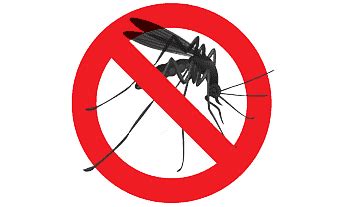 Pest Control In Bangalore Deep Home Cleaning Services Near Me