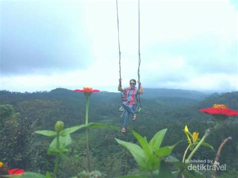 Ngeri Ngeri Sedap Ayunan Langit Di Yogyakarta