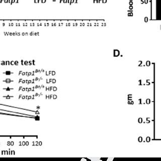 Deletion Of MF Fatp1 Increased Susceptibility To HFD Induced Weight