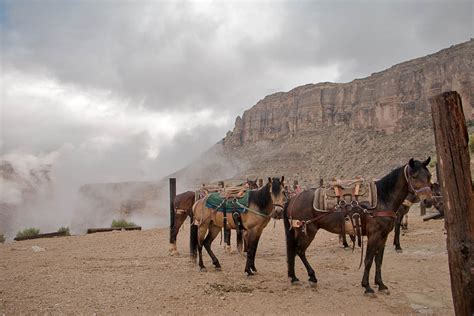 Havasupai Adventure: Hiking into Supai Village - Amy Buchanan Arts