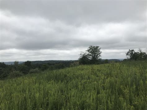 The hills of Kentucky. : r/Outdoors