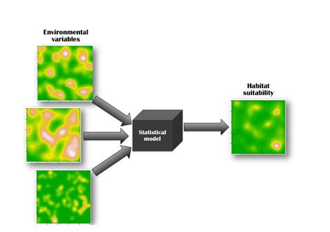 Chapter 2 Modelling Species Habitat Associations Species Habitat Associations Spatial Data