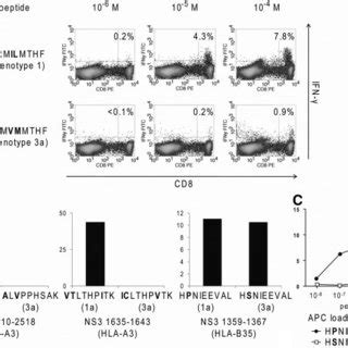 Genotype Epitope Specific Cd T Cell Response Suggest A Previous