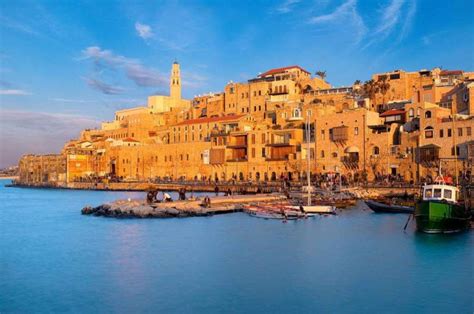 PALESTINE JAFFA | MATTHEW'S ISLAND