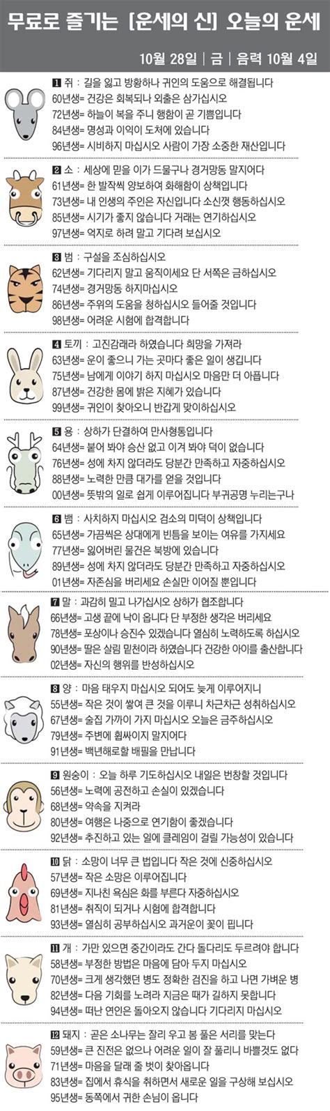 직장인을 위한 오늘의 운세 2022년 10월 28일 금요일 오늘의 띠별 운세 음력 10월 4일 네이트 뉴스