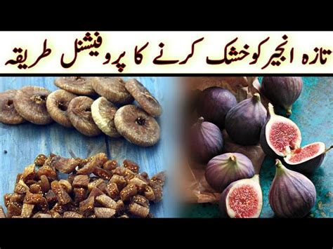 Figs In Urdu