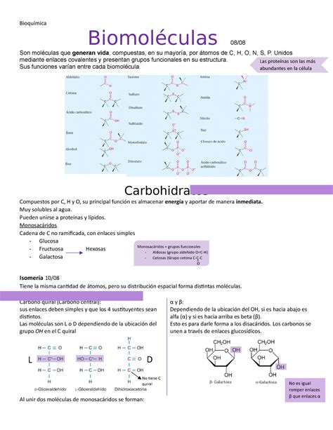 Bioquímica Solemne 1 Biomoléculas 08 Son moléculas que generan