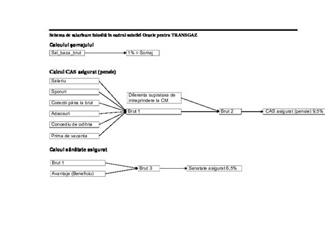 Schema Salarizare PDFCOFFEE