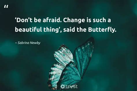 74 Beautiful Butterfly Quotes Inspiring Appreciation 2024