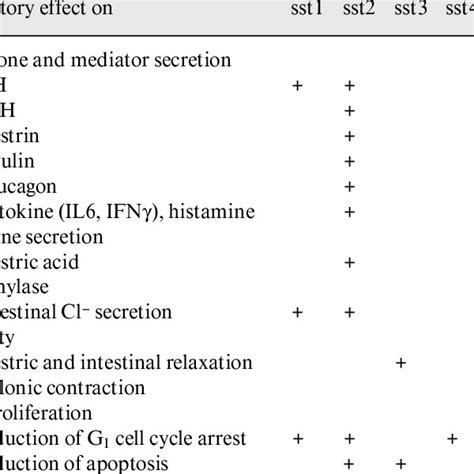 (PDF) Somatostatin Receptors