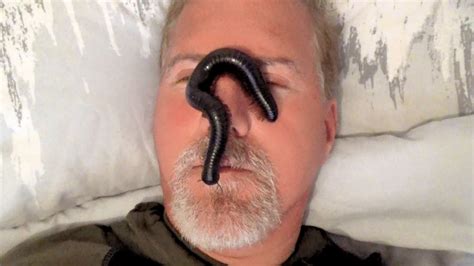 Playing With A Giant African Millipede On My Face Rescued From A