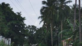 Sq M Lot For Sale In Sinandigan Ubay Bohol Land For Sale In