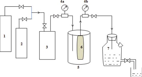 Schematic Diagram Of The Experimental Setup For Gas Permeation