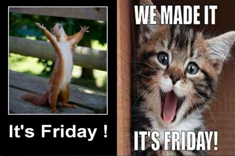 45 Funny Friday Memes That Are Relevant to Anyone With a Job ...