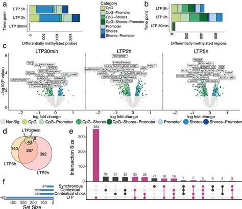 Differential Methylation Analysis Reveals The Majority Of Regions Being