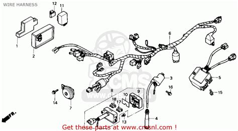 DIAGRAM Odes 800cc Dominator Wiring Diagram WIRINGDIAGRAM ONLINE