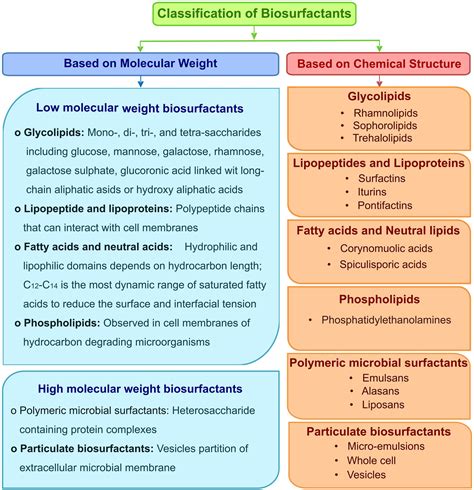 Frontiers Microbial Surfactants A Journey From Fundamentals To