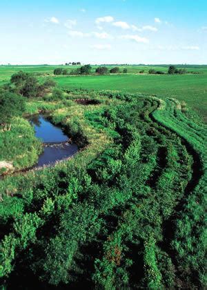 Riparian buffer - Alchetron, The Free Social Encyclopedia