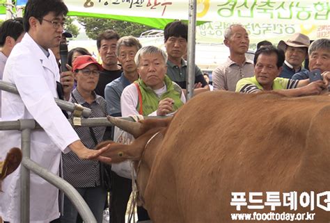 푸드tv “경북 명품 한우 찾아라” 한우경진대회 성황