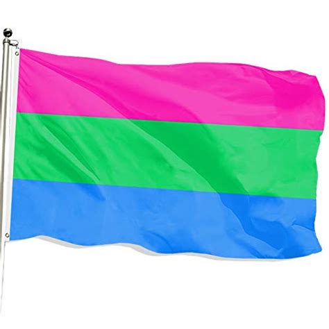 Fsflag Polysexual Flag Polysexual Pride Flag Pride Month Flag 3x5 Lgbtq Flags Decorations