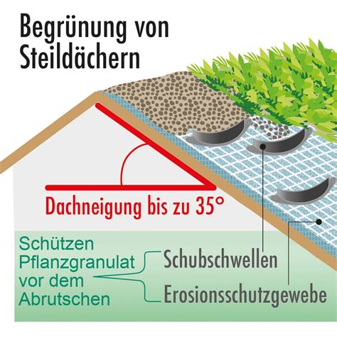 Dachbegrünung Überblick