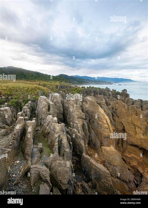 Coastal Landscape Of Sandstone Rocks Pancake Rocks Paparoa National