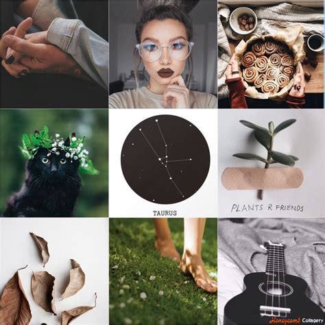 A Moodboard I Made A Few Days Ago For The Astrology Zodiac Sign Taurus