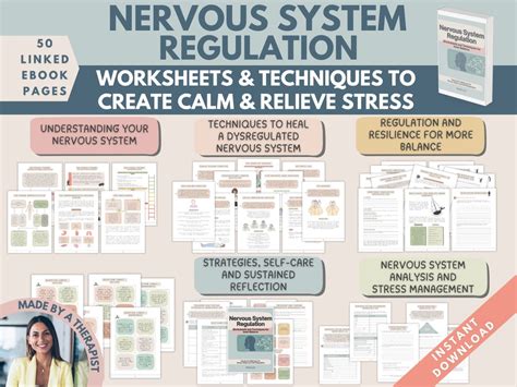 Nervous System Regulation Workbook Somatic Exercise Polyvagal Theory