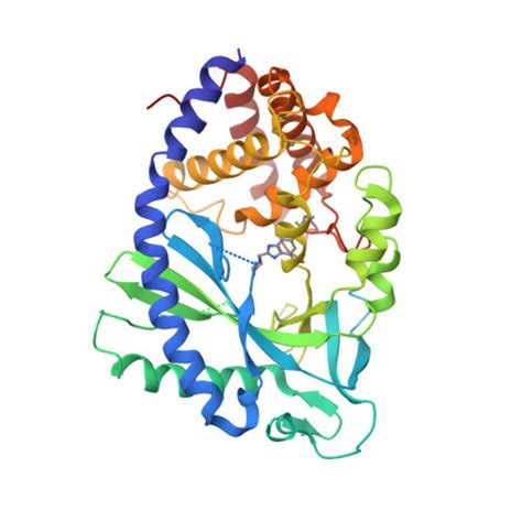 RCSB PDB 7FUC Crystal Structure Of Human Cyclic GMP Synthase In