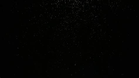 White Particles Rise Into Empty Black Space Stock Footage Sbv 338173113