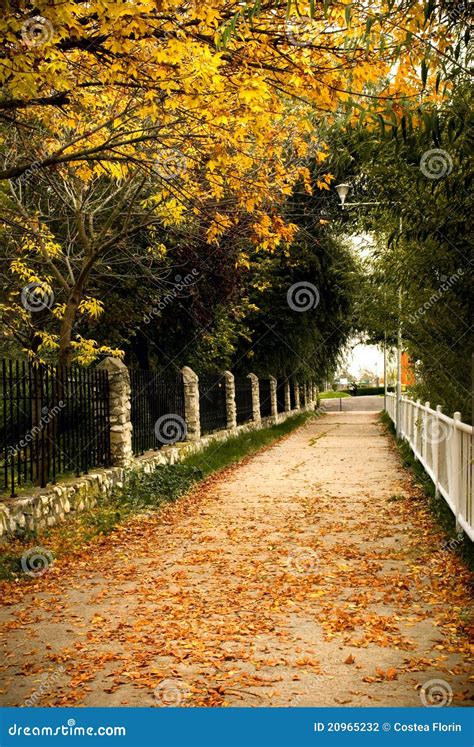 Autumn Scenery Stock Photography - Image: 20965232