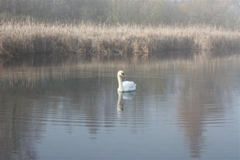 Paxton Pits Nature Reserve St Neots 2020 All You Need To Know