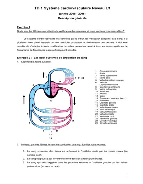 TD Physiologie Cardio Vasculaire