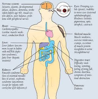 Mitochondrial Disease Symptoms. 16th-22nd September is Mitochondrial ...