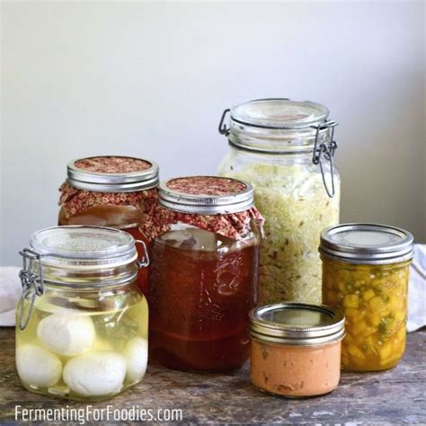 Types of Fermentation - Fermenting for Foodies