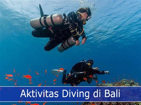 Tempat Diving Di Bali Top Diving Area Yang Memikat Dunia